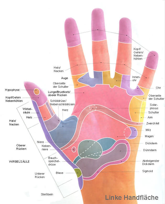 Handreflexzonen