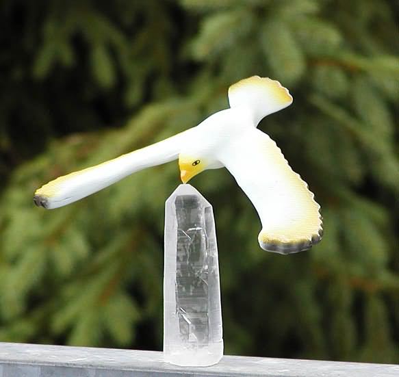 Balanciervogel - Schwebevogel - balancebird